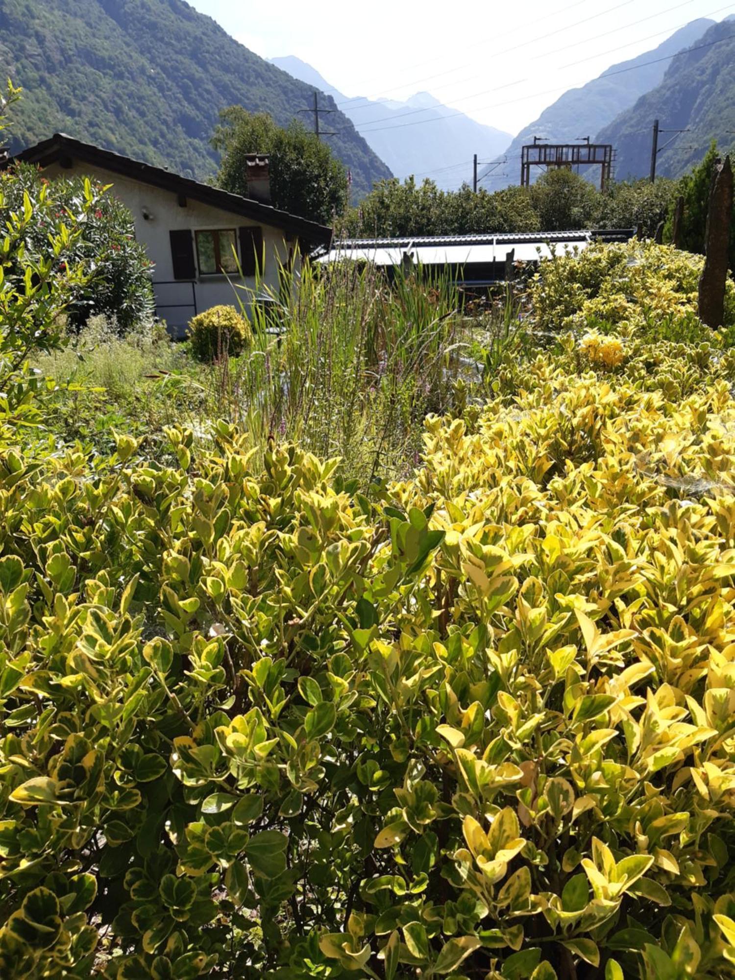 Grotto Pergola Bed and Breakfast Giornico Εξωτερικό φωτογραφία
