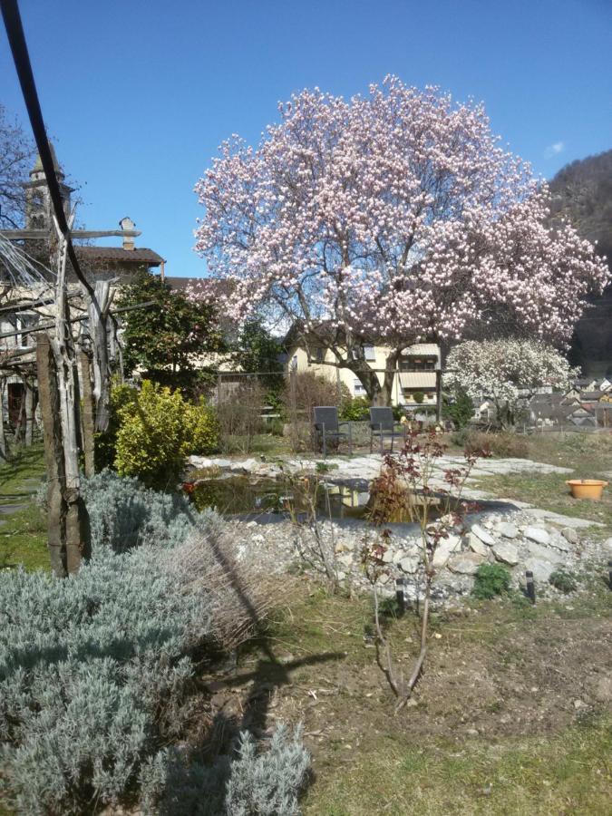 Grotto Pergola Bed and Breakfast Giornico Εξωτερικό φωτογραφία